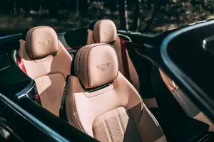 Bentley Continental GT: Ultra-Luxury Masterpiece Inspired by Immortal Artists, Captivating Every Gaze.-3