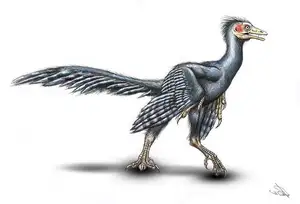 Archaeopteryx Mystery: Primitive Bird Reveals Dinosaur Evolution's Turning Point to Birds-2