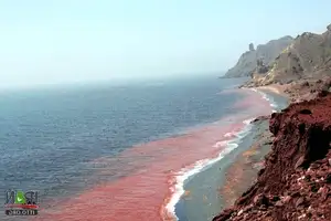 Crimson Sea Mystery: Natural Phenomenon or Strange Omen After Heavy Rain?-2