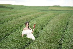 Serene Girl Embracing Nature & Book in Lush Green Tea Hill-2