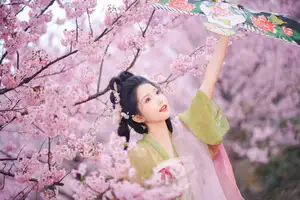 East Asian Beauty: Tu Ya W in Elegant Hanfu Amidst Spring Cherry Blossoms | YiTuYu Vol.8636-12