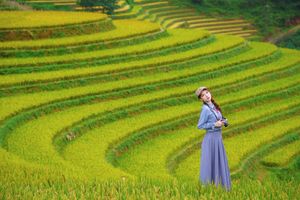Explore Vietnam's Majestic Terraced Fields: Where Nature Meets Human Spirit 1000019782-9