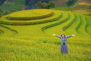 Explore Vietnam's Majestic Terraced Fields: Where Nature Meets Human Spirit 1000019782-12
