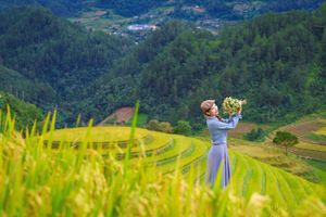 Explore Vietnam's Majestic Terraced Fields: Where Nature Meets Human Spirit 1000019782-6