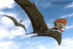 View: Tapejara - Bizarre Cretaceous Flying Reptile with Unique Giant Crest-4