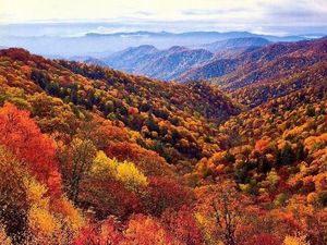 Explore Great Smoky Mountains National Park Majestic Appalachian Trail amidst US Mountain Scenery-0