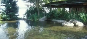 Inside Xanadu 2.0: A Private Tour of Bill Gates’ Iconic High-Tech Washington Estate and Luxury Waterfront Mansion-0