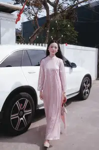 Phan Van Duc's Wife Stuns in Elegant Traditional Ao Dai Amidst Ancient Charm-6