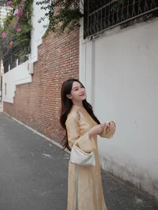 Elegant Vietnamese Silk Ao Dai: Discover the Timeless Grace and Traditional Beauty of Vietnam's Iconic National Dress for Women-8