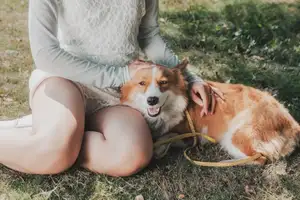 Ethereal Beauty: Young Woman in White Lace Dress Amidst Daisy Field Under Summer Sun-10