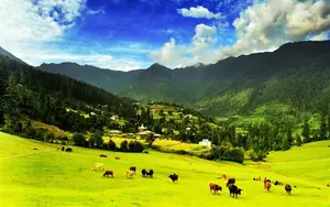 Explore Great Himalayan National Park - Where rugged terrain meets magical turquoise rivers-1