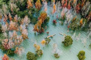 Khe Sanh's Red Leaf Season: Discover the Stunning Natural Beauty of Vietnam's Forest-2