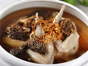 Morel Mushrooms: The Rare Forest Gems That Captivate Culinary Enthusiasts Worldwide-10