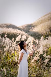 Binh Lieu Reed Grass: Quang Ninh's Autumn Wonderland, A Breathtaking Scenic Paradise for Travelers-8