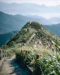 Binh Lieu Reed Grass: Quang Ninh's Autumn Wonderland, A Breathtaking Scenic Paradise for Travelers-11