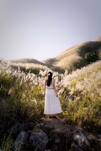 Binh Lieu Reed Grass: Quang Ninh's Autumn Wonderland, A Breathtaking Scenic Paradise for Travelers-9