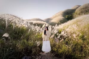 Binh Lieu Reed Grass: Quang Ninh's Autumn Wonderland, A Breathtaking Scenic Paradise for Travelers-7