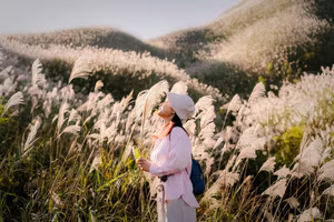Binh Lieu Reed Grass: Quang Ninh's Autumn Wonderland, A Breathtaking Scenic Paradise for Travelers-5