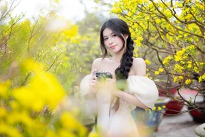 Stunning Yellow Apricot Blossoms: Traditional Vietnamese Lunar New Year Decor and Spring Blossom Inspiration for Your Home and Garden-2