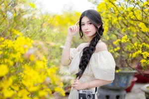 Stunning Yellow Apricot Blossoms: Traditional Vietnamese Lunar New Year Decor and Spring Blossom Inspiration for Your Home and Garden-0