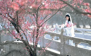 Artistic Portraiture Series: He Li Han in YiTuYu Art Language Vol.9316 – A Timeless Aesthetic Inspired by Classic Literature and Modern Elegance-13