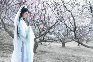 Artistic Portraiture Series: He Li Han in YiTuYu Art Language Vol.9316 – A Timeless Aesthetic Inspired by Classic Literature and Modern Elegance-2