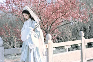 Artistic Portraiture Series: He Li Han in YiTuYu Art Language Vol.9316 – A Timeless Aesthetic Inspired by Classic Literature and Modern Elegance-1