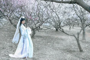 Artistic Portraiture Series: He Li Han in YiTuYu Art Language Vol.9316 – A Timeless Aesthetic Inspired by Classic Literature and Modern Elegance-6