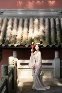 Yan Ru Yu's Timeless Hanfu Elegance: Discover YiTuYu Art Language Vol.8693-6