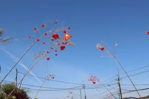 Vibrant Tet Traditions: Discover the Colorful Lunar New Year Bamboo Poles (Cay Neu) Along the Scenic Roads of Gia Lai, Vietnam-3