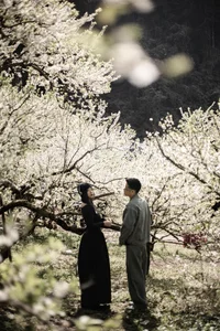 Springtime Magic in Moc Chau: Exploring the White Plum Blossom Valleys of Na Ka and Mu Nau for the Perfect Travel Photos-6