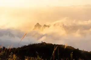 Conquer Ky Quan San: Witness the majestic sea of clouds after a challenging journey to the Northwest peak-7