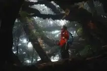 Conquer Ky Quan San: Witness the majestic sea of clouds after a challenging journey to the Northwest peak-1