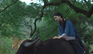 Elegant Aesthetic Portrait Photography: YiTuYu Art Language Vol.9347 Featuring Model Er Yi Zhi in a Cinematic Natural Setting-8