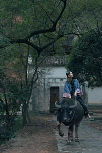 Elegant Aesthetic Portrait Photography: YiTuYu Art Language Vol.9347 Featuring Model Er Yi Zhi in a Cinematic Natural Setting-11