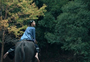 Elegant Aesthetic Portrait Photography: YiTuYu Art Language Vol.9347 Featuring Model Er Yi Zhi in a Cinematic Natural Setting-12