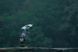 Elegant Aesthetic Portrait Photography: YiTuYu Art Language Vol.9347 Featuring Model Er Yi Zhi in a Cinematic Natural Setting-9