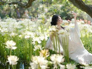 Ethereal Beauty in a White Flower Field: A Muse Under the Sun-18