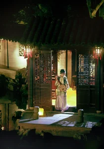 Timeless Elegance of Yi Zhi Shu Zi Jun in YiTuYu Vol.8947 Art Language-4