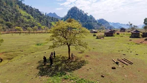 Discover the Rustic Spring Beauty of Ta Phinh Village: A Hidden Hmong Cultural Gem in Moc Chau, Northern Vietnam-4