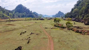 Discover the Rustic Spring Beauty of Ta Phinh Village: A Hidden Hmong Cultural Gem in Moc Chau, Northern Vietnam-7