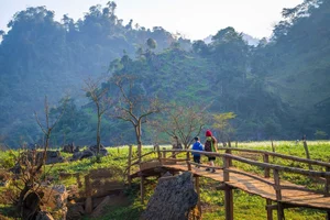 Discover the Rustic Spring Beauty of Ta Phinh Village: A Hidden Hmong Cultural Gem in Moc Chau, Northern Vietnam-5