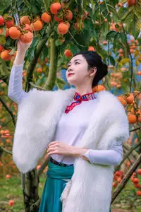 Graceful Vietnamese Girl in Traditional Attire Amidst Autumn Persimmon Garden-3