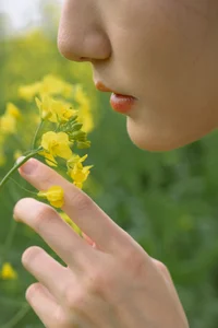Ethereal Beauty: Xiao Yue Amidst Rapeseed Blooms in Art Language Vol.8948-21