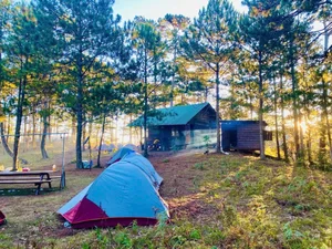 Bidoup Nui Ba Trekking: A Soulful Journey Through Vietnam’s Misty Ancient Forests and Mossy Trails-6
