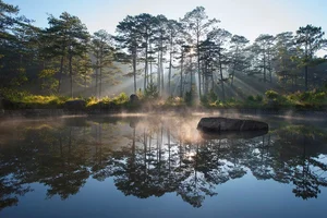 Bidoup Nui Ba Trekking: A Soulful Journey Through Vietnam’s Misty Ancient Forests and Mossy Trails-0
