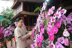 Exquisite Phalaenopsis Orchid Arrangements: Luxury Floral Decor Ideas and Professional Artistry for Festive Celebrations-1