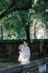 Discover the ethereal beauty of a Vietnamese girl exuding classic charm and gentle grace captivating every gaze-7