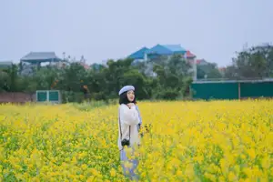 Immerse in Golden Rapeseed Fields: Girl's Artistic Photography Amidst Peaceful Charm, Attracting Year-End Visitors.-10
