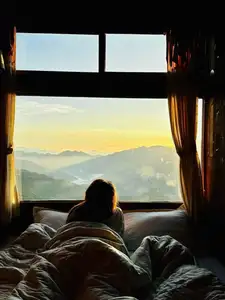 Ta Xua Winter: Discover the pristine beauty of forest flowers amidst majestic mountains-11